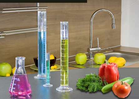 chemistry of cooking.